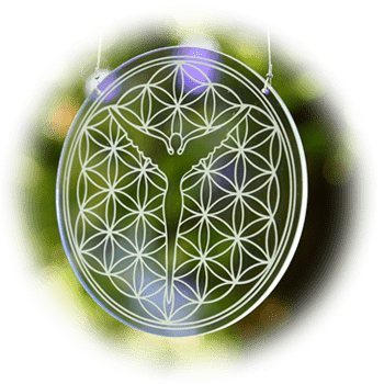 Rosenlichtoase - Chakren- und Auraharmonisierung