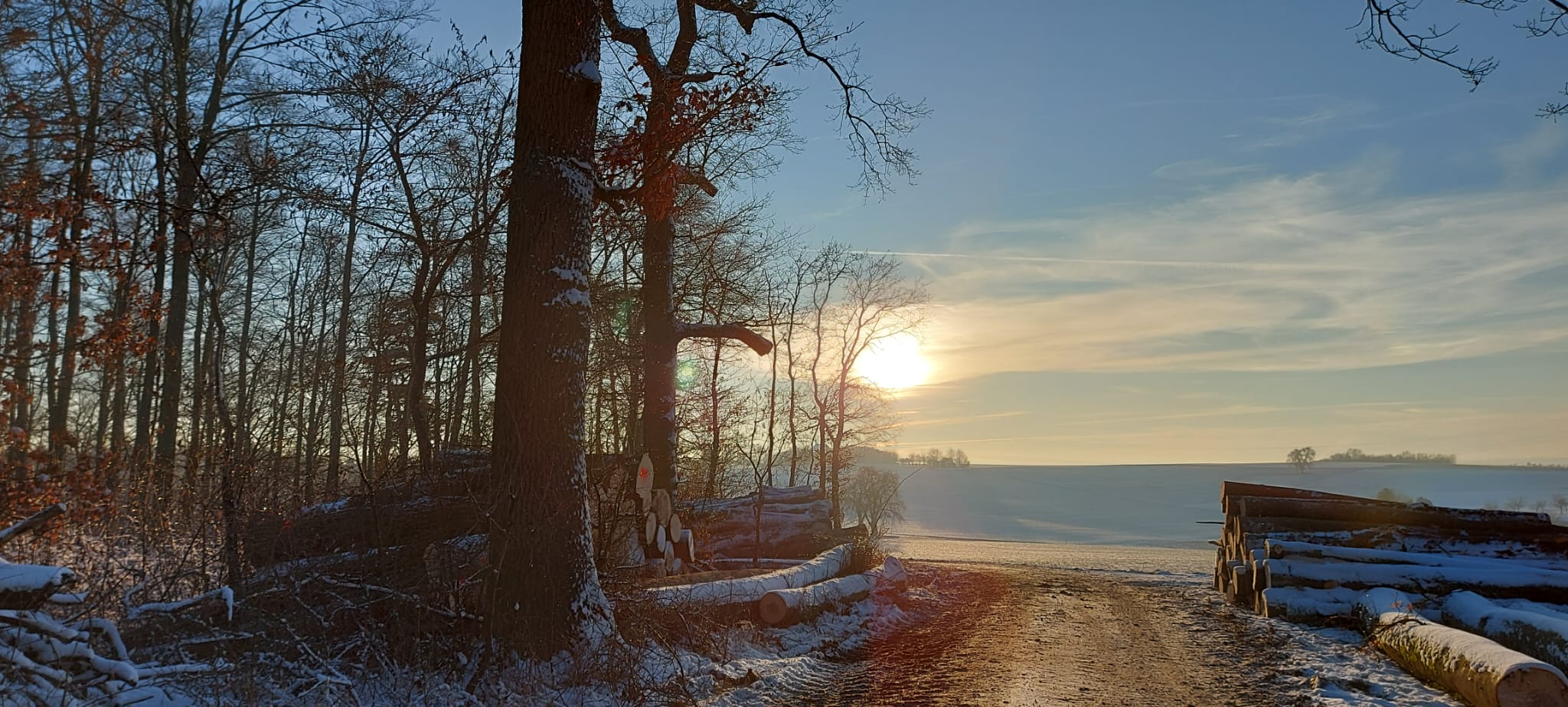 haus grundst Rosenlichtoase - Hausharmonisierung, Harmonisierung von Grundstücken
